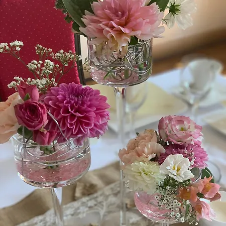 Zum Erbgericht Hotell